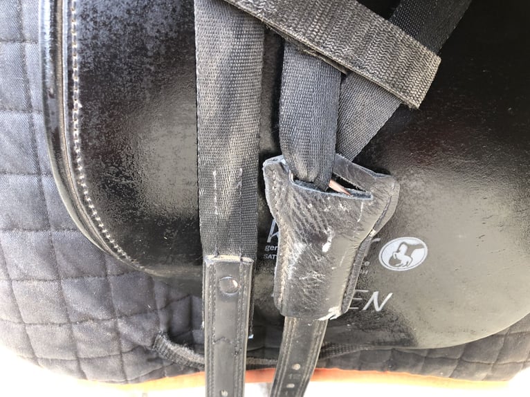 Kiefer Athen Dressursattel, breite Kammer Kiefer Athen Dressursattel, breite Kammer