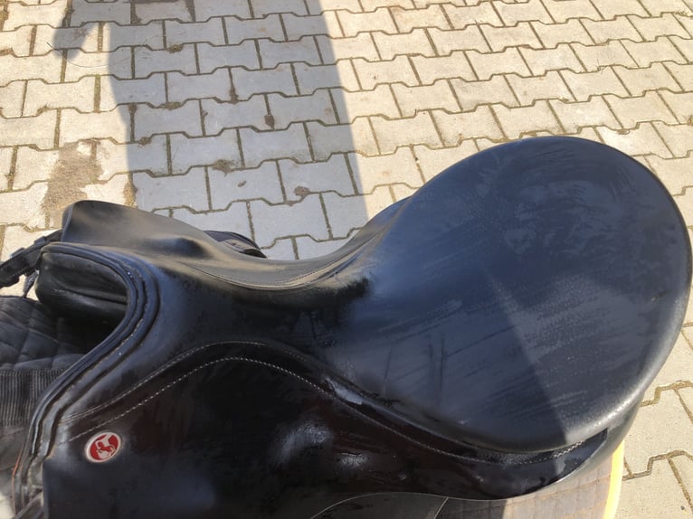 Kiefer Athen Dressursattel, breite Kammer Kiefer Athen Dressursattel, breite Kammer