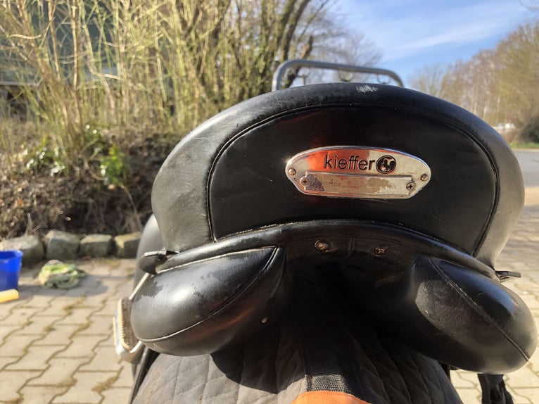 Kiefer Athen Dressursattel, breite Kammer Kiefer Athen Dressursattel, breite Kammer