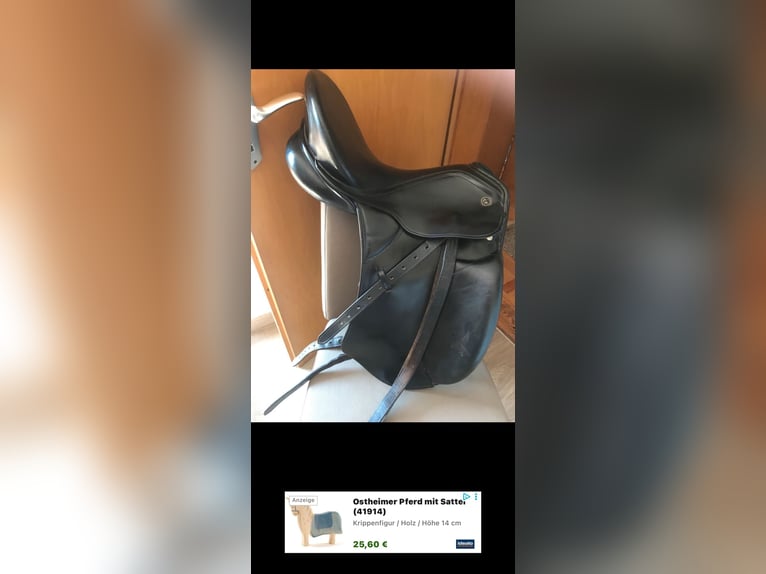 Kieffer Dressursattel Lusitano