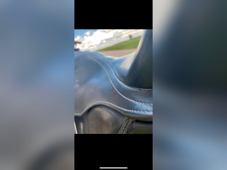 Kieffer Kür Dressursattel