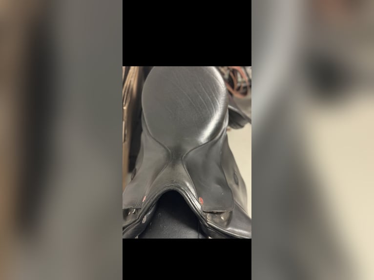 Lemetex Dressursattel