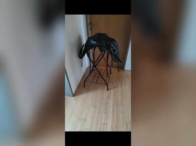 Letek by Tekna, Dressursattel S-Line mit Glossy