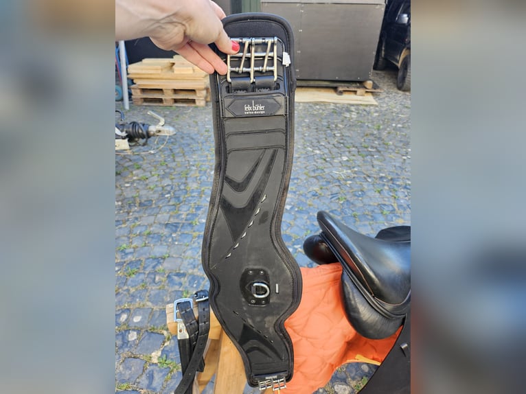 Massimo Dressur II FK 17" Kammerweite 33