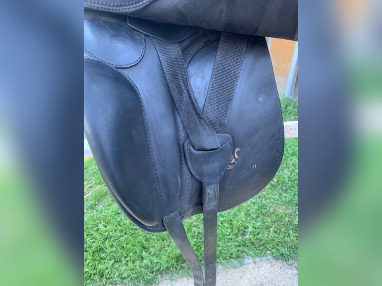 Massimo Dressur II *Sonderedition* - mit Strasssteine (Dressursattel)