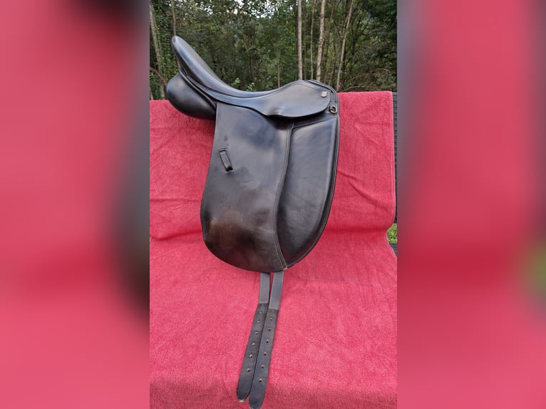 Massimo Dressursattel 
