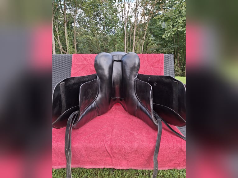 Massimo Dressursattel 