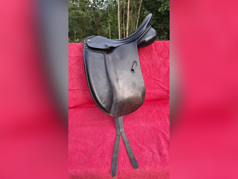 Massimo Dressursattel 