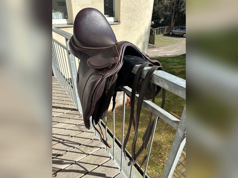 Maxflex Dressursattel Leonard Premium Edition (neuwertig)