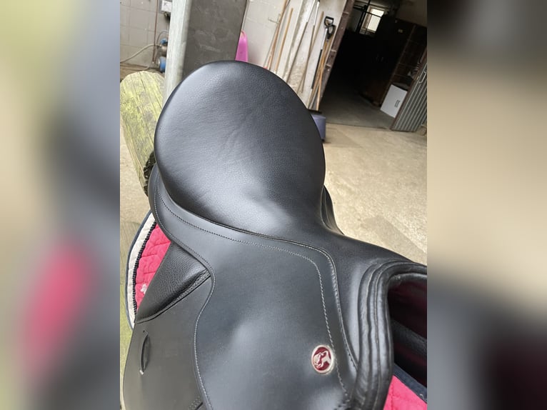 Neuwertigen Dressursattel von Kieffer!