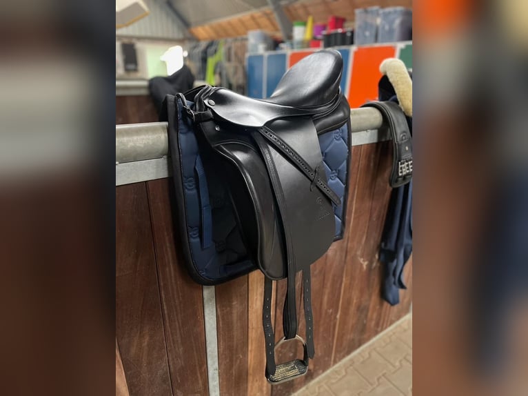 Neuwertiger Dressursattel Otto Schumacher Solution C zu verkaufen!
