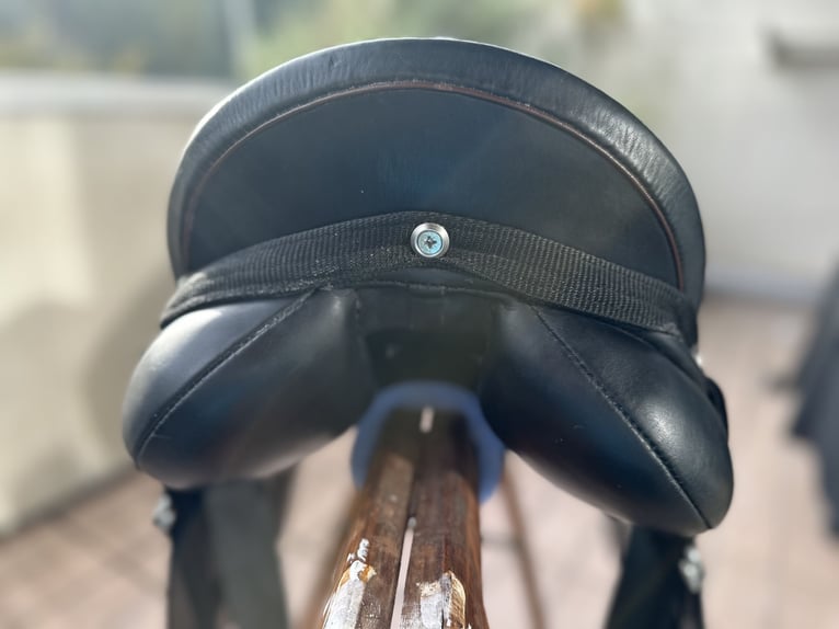 Neuwertiger Massimo Dressur II Sattel mit franzö. Kissen, KW 38 (auf 39 abgeändert), 17,5“ zu verk.