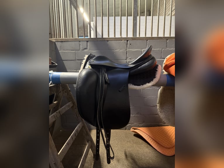 Neuwertiger Prestige top Dressage SP 17“ / 32 KW