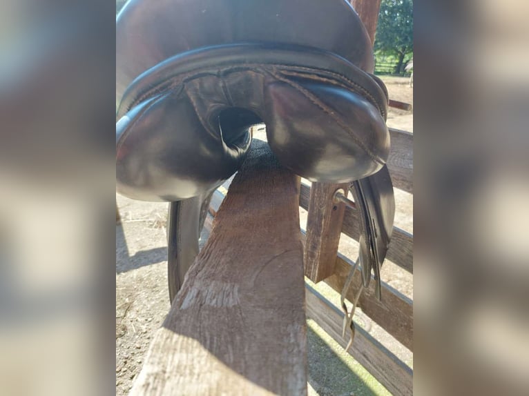 Niedersüß Sinfonie Dressursattel