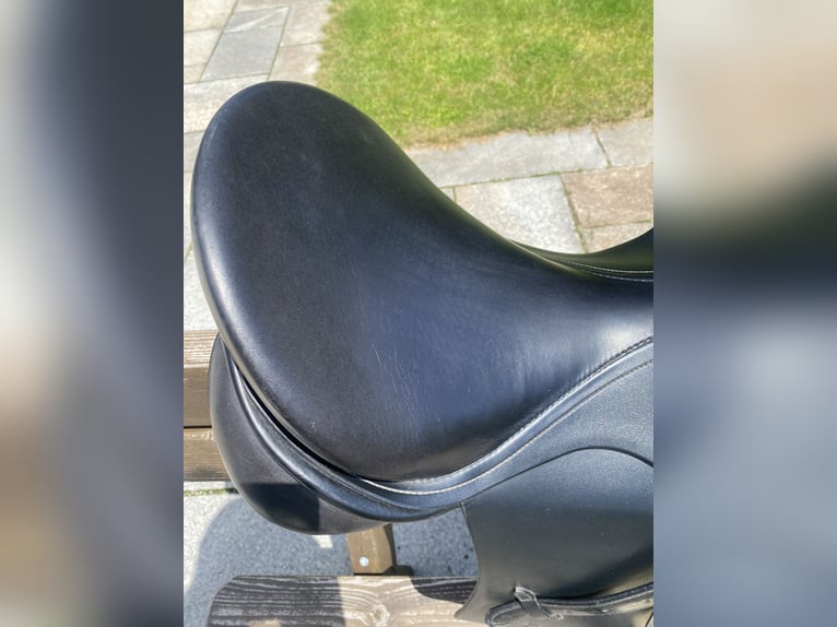Passier abs Dressursattel 17“ - neuwertig!