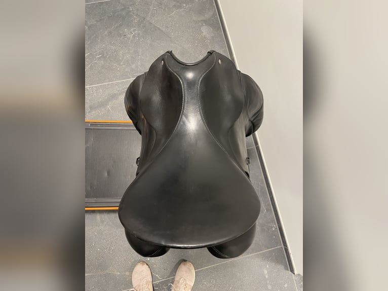 Passier Dressursattel