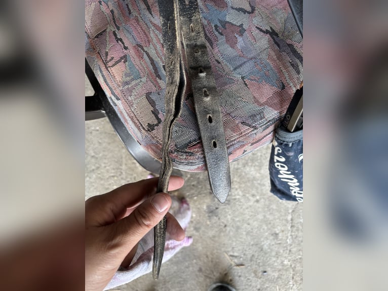 Passier Dressursattel 