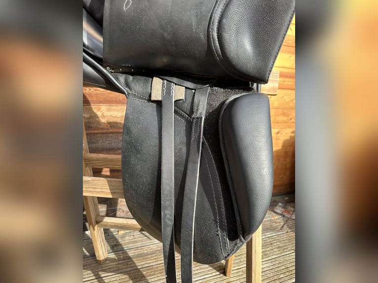 Passier Optimum Dressursattel 