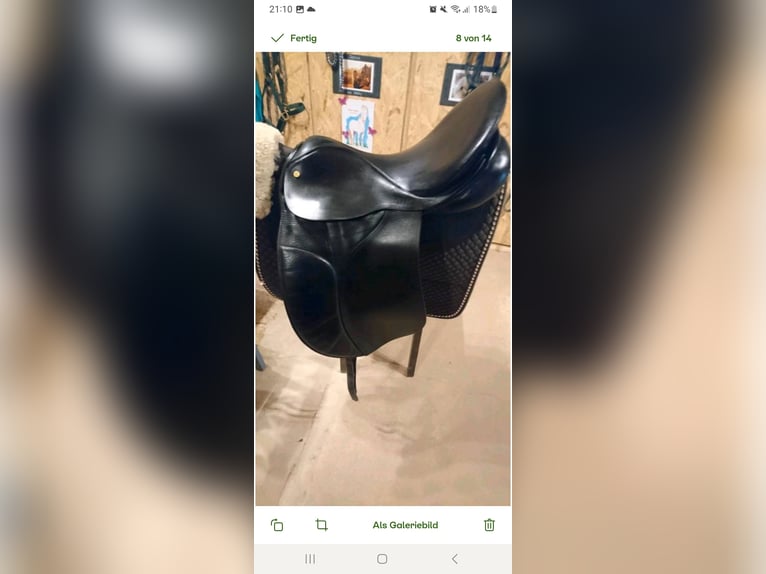 Paul Jones Dressursattel