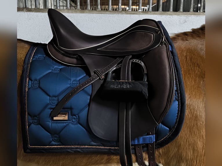 Philimar Dressursattel 18er Sitz Dunkelbraun
