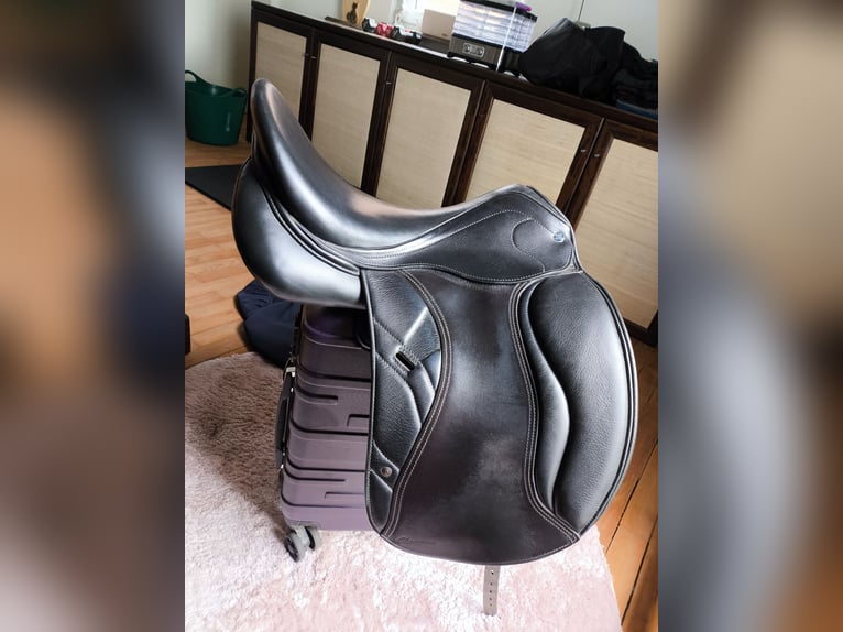 Premium Dressursattel Horse Star "Dr. Champion" 18" | FSHL-System | Sehr guter Zustand!