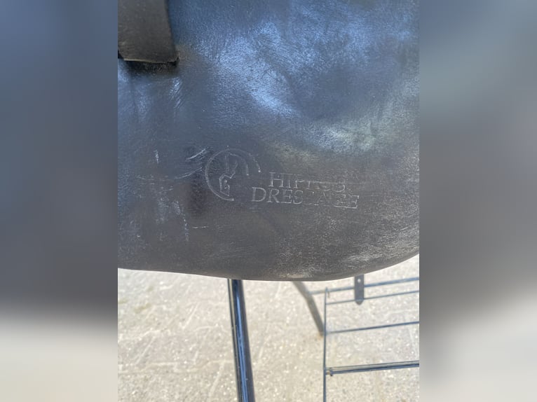Prestige Hippos Dressage 33/18“