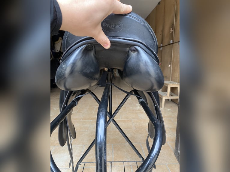 Prestige Hippos Dressage 33/18“