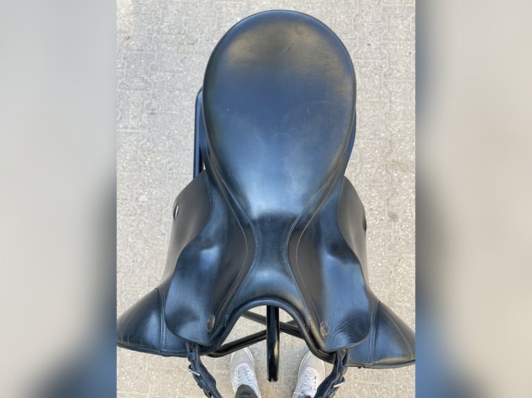 Prestige Hippos Dressage 33/18“