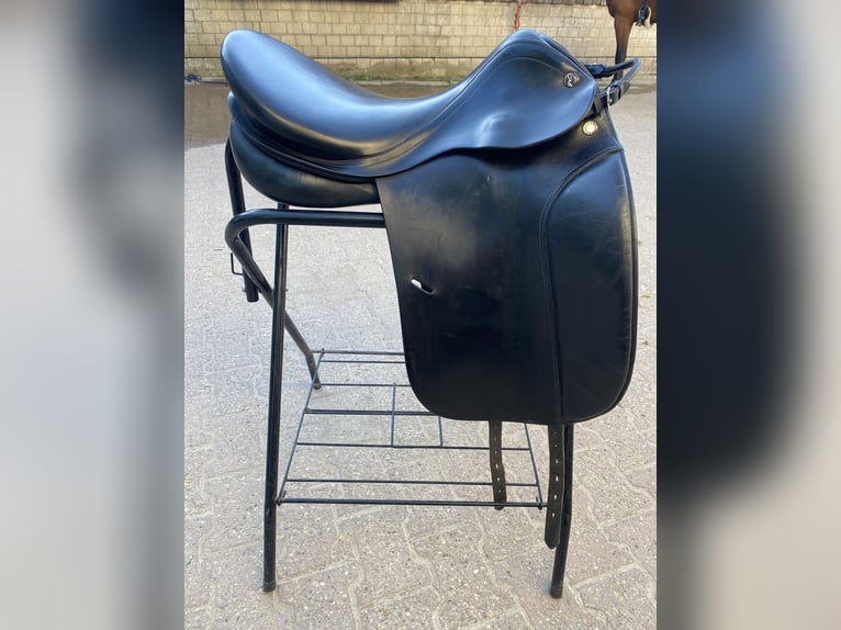 Prestige Hippos Dressage 33/18“