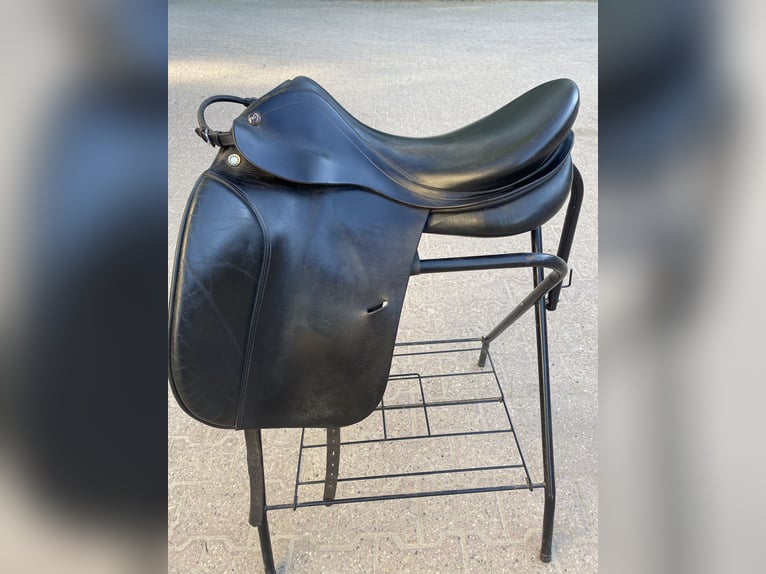 Prestige Hippos Dressage 33/18“