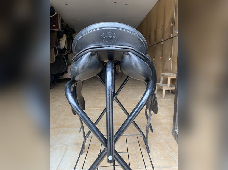 Prestige Hippos Dressage 33/18“