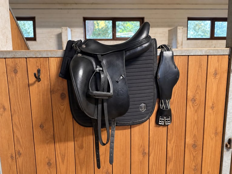 🖤 Prestige Italia X-D2 Dressursattel 18M – Air-System von Carsten Engelke