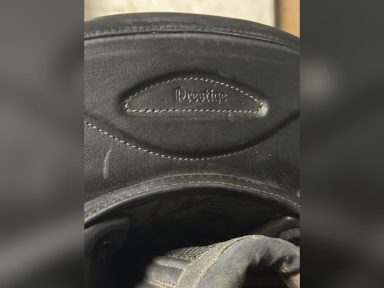 🖤 Prestige Italia X-D2 SC Dressursattel 18 M – Air-System von Carsten Engelke