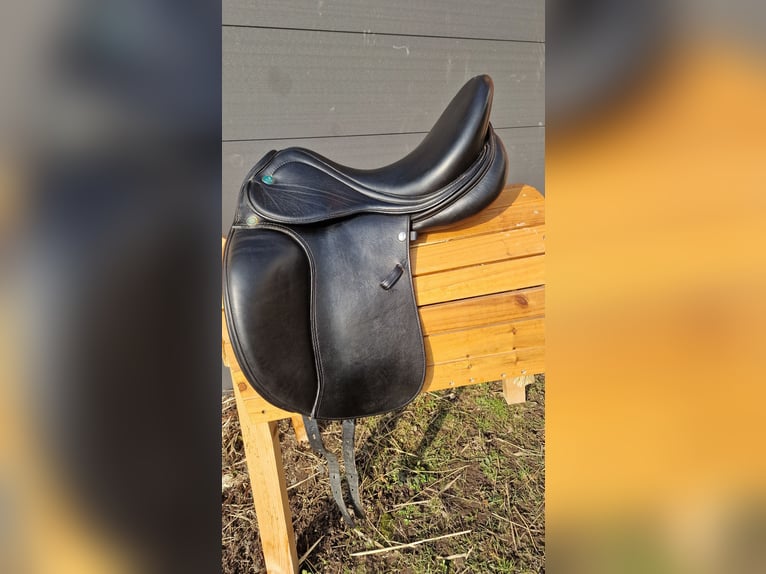Prestige Lucky Dressage Idol 16/35