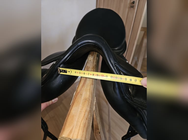 Prestige Lucky Dressage Idol D