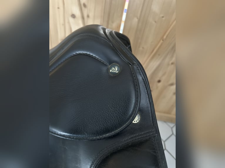 Prestige Lucky Dressage