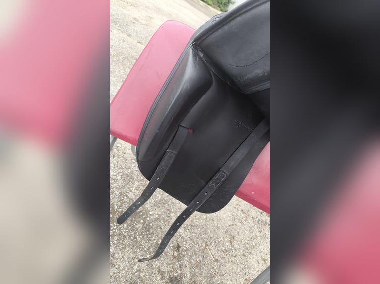 Prestige Roma Dressage – 17 Zoll, Kammerweite 34, neuwertig – Messesattel zum Sonderpreis