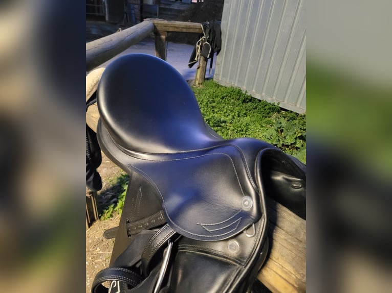 Prestige Roma Dressage Dressursattel
