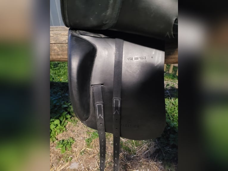 Prestige Roma Dressage Dressursattel