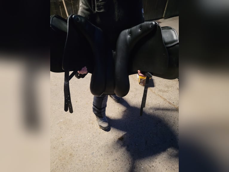 Prestige Roma Dressage Dressursattel