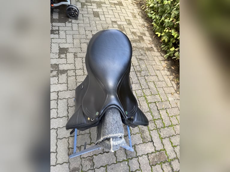 Prestige Roma Dressage