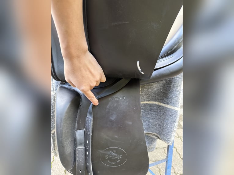 Prestige Roma Dressage