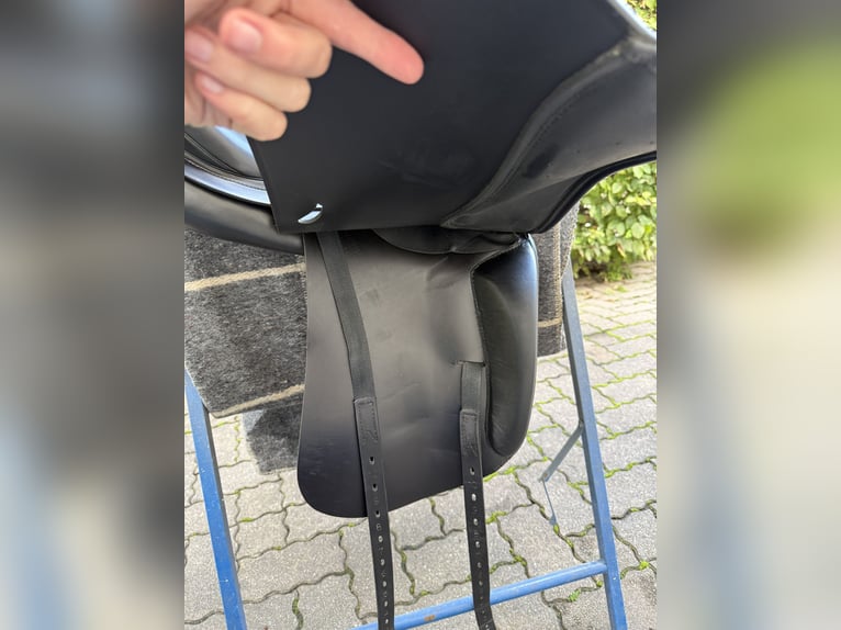 Prestige Roma Dressage