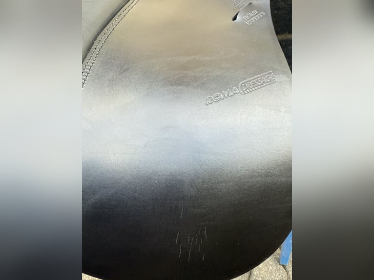 Prestige Roma Dressage