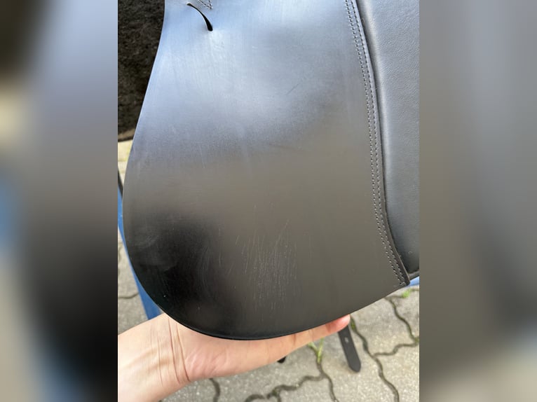 Prestige Roma Dressage (Weihnachtsaktion -10%bis 31.12.2025!!)