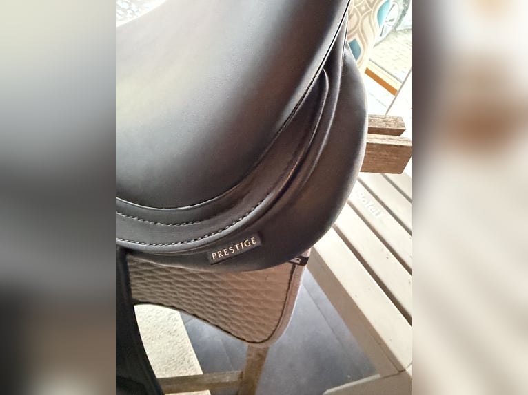Prestige Sattel Melody K CPS / 17 Zoll - 33 Kammerweite
