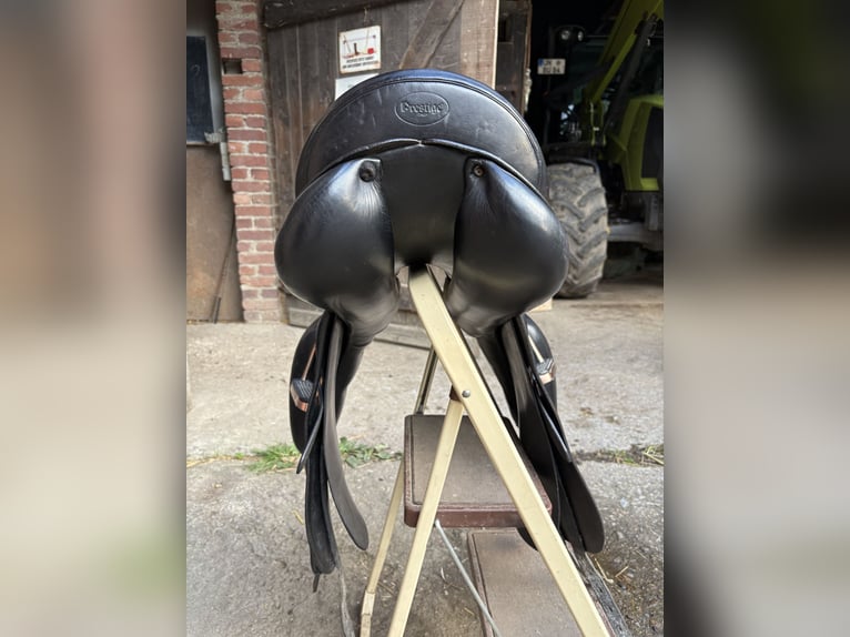 Prestige Top Dressage, 18 Zoll, schwarz