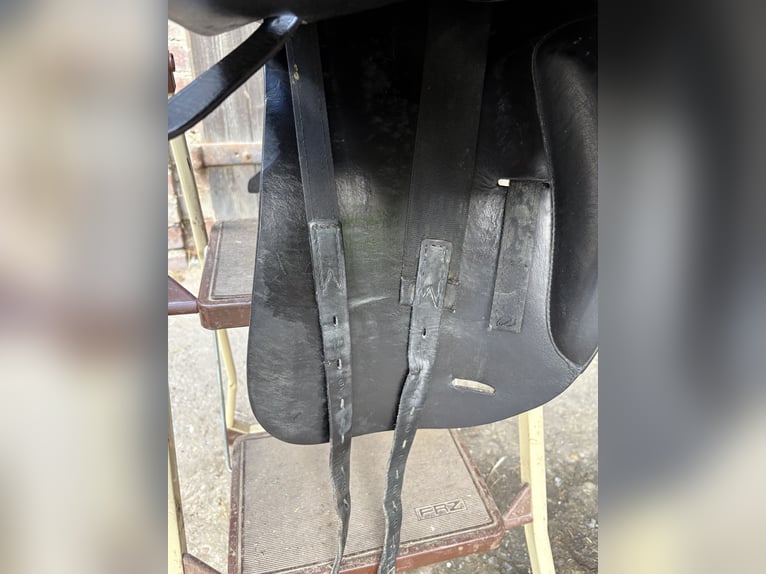 Prestige Top Dressage, 18 Zoll, schwarz