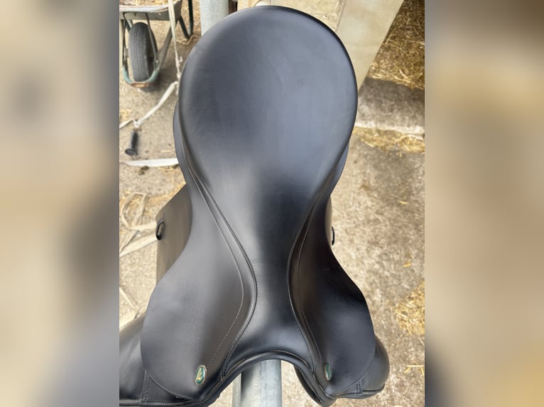 Prestige Top Dressage 2021