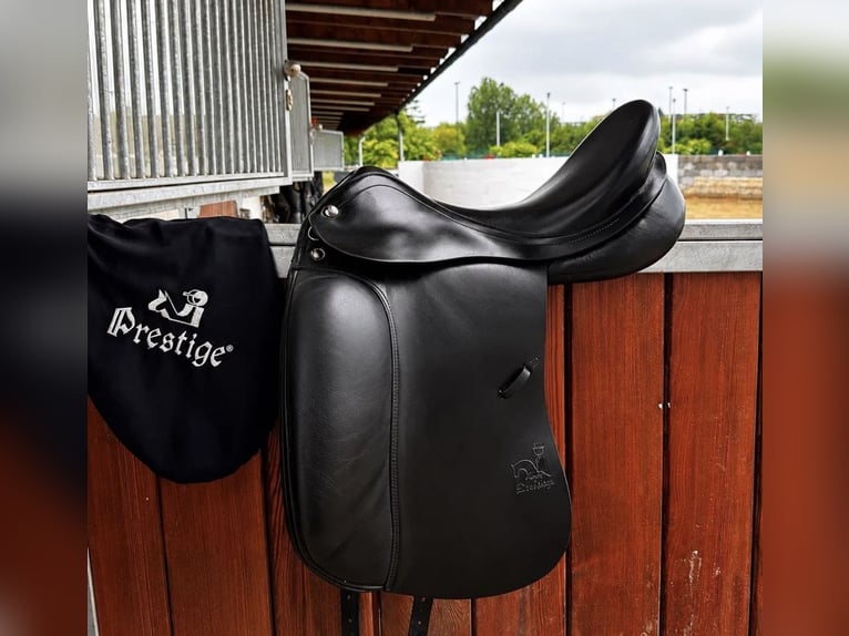Prestige Top Dressage